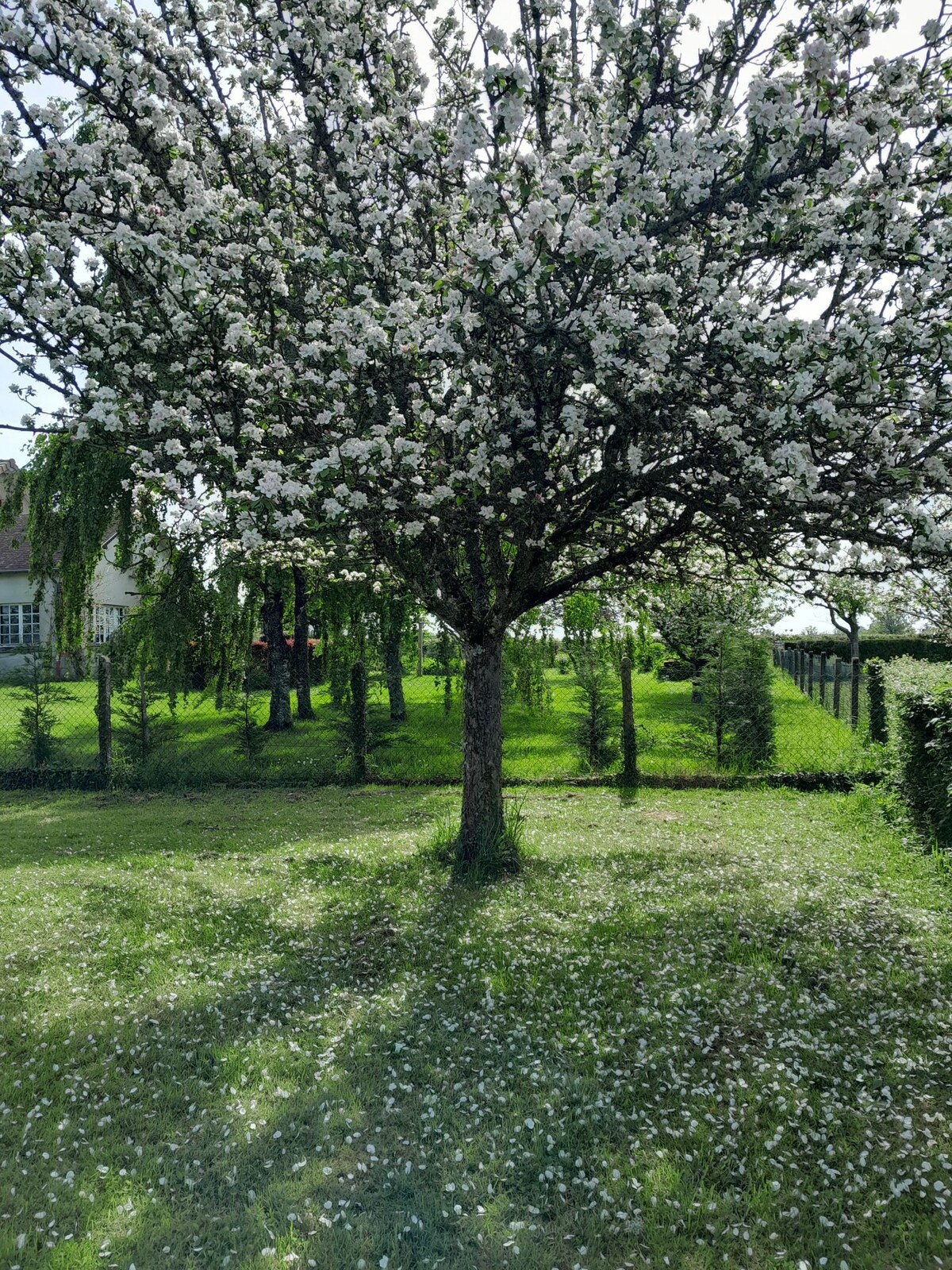 Charmante petite maison rénovée