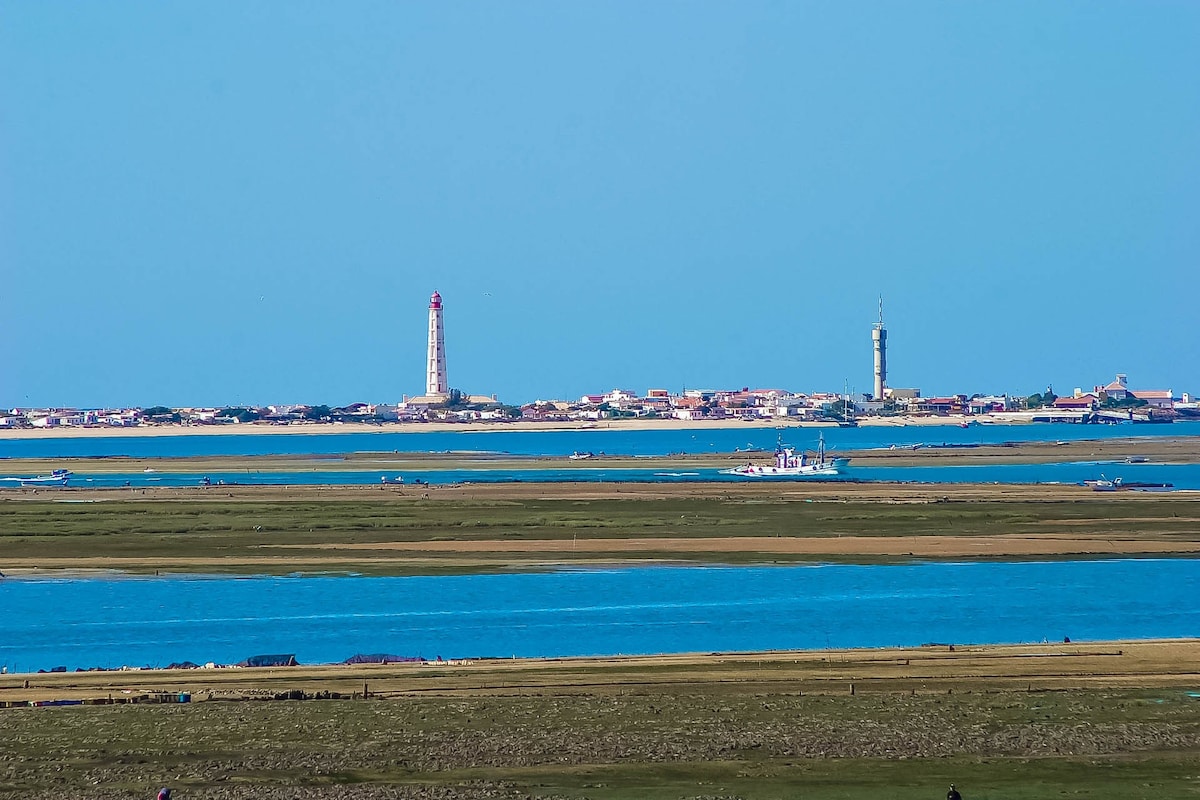 海滨：可俯瞰从泻湖到法鲁（ Faro ）的泻湖景