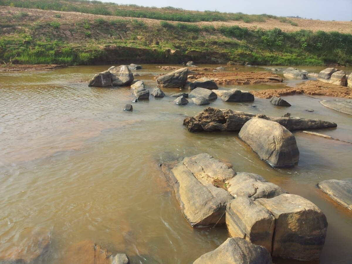 Navagreen Backwater Villa