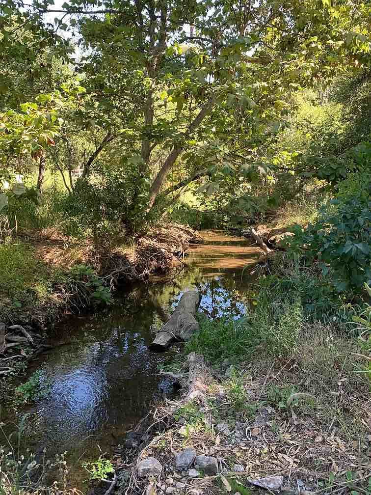 僻静的橡树林，距离老城区5分钟路程