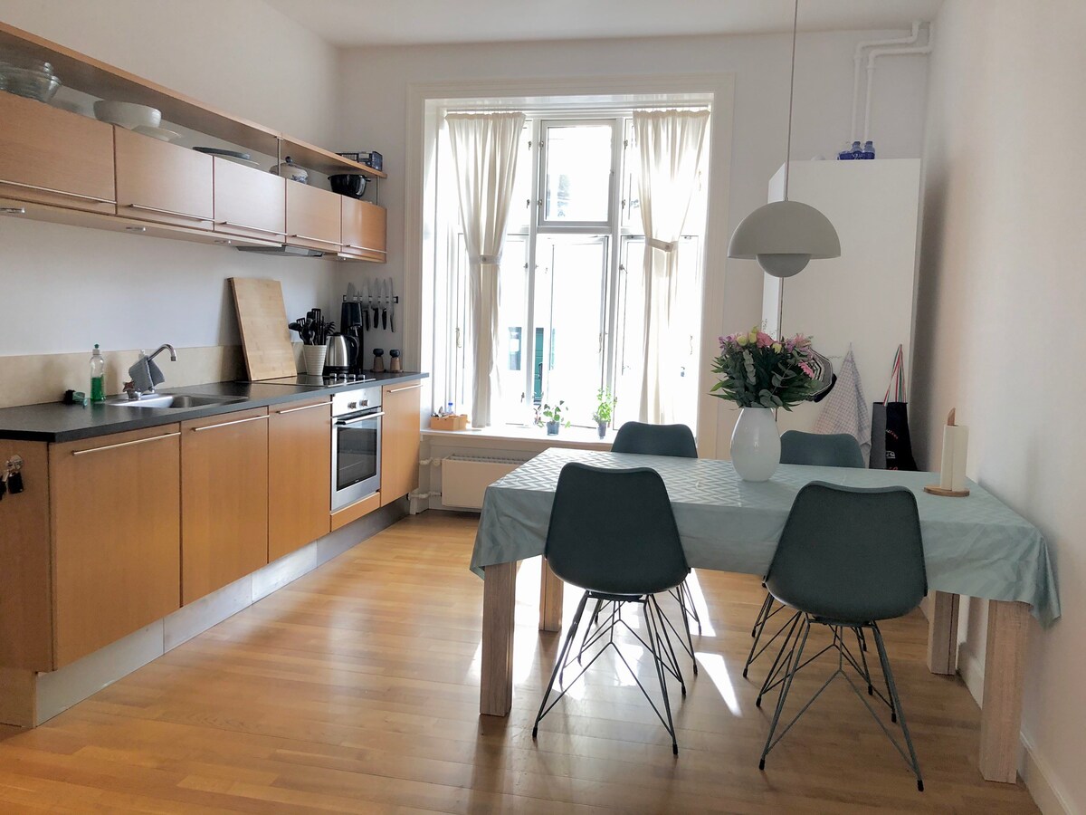 哥本哈根中心地段可爱的公寓