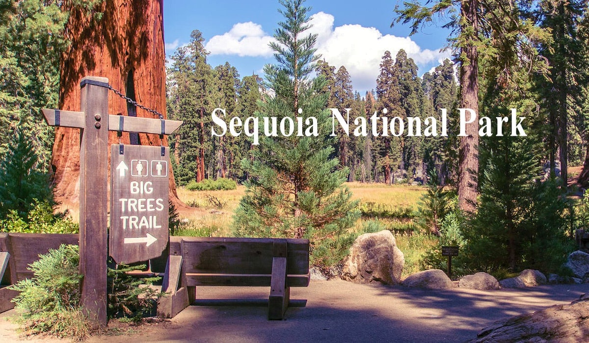 红杉公园（ Sequoia Park ）附近的主屋