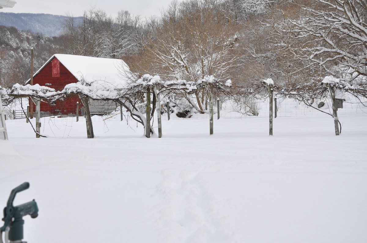 Walnut Grove Farm