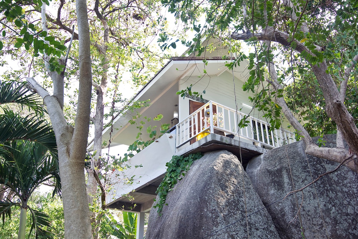 ROCK House。海景，毗邻海滩。共用泳池