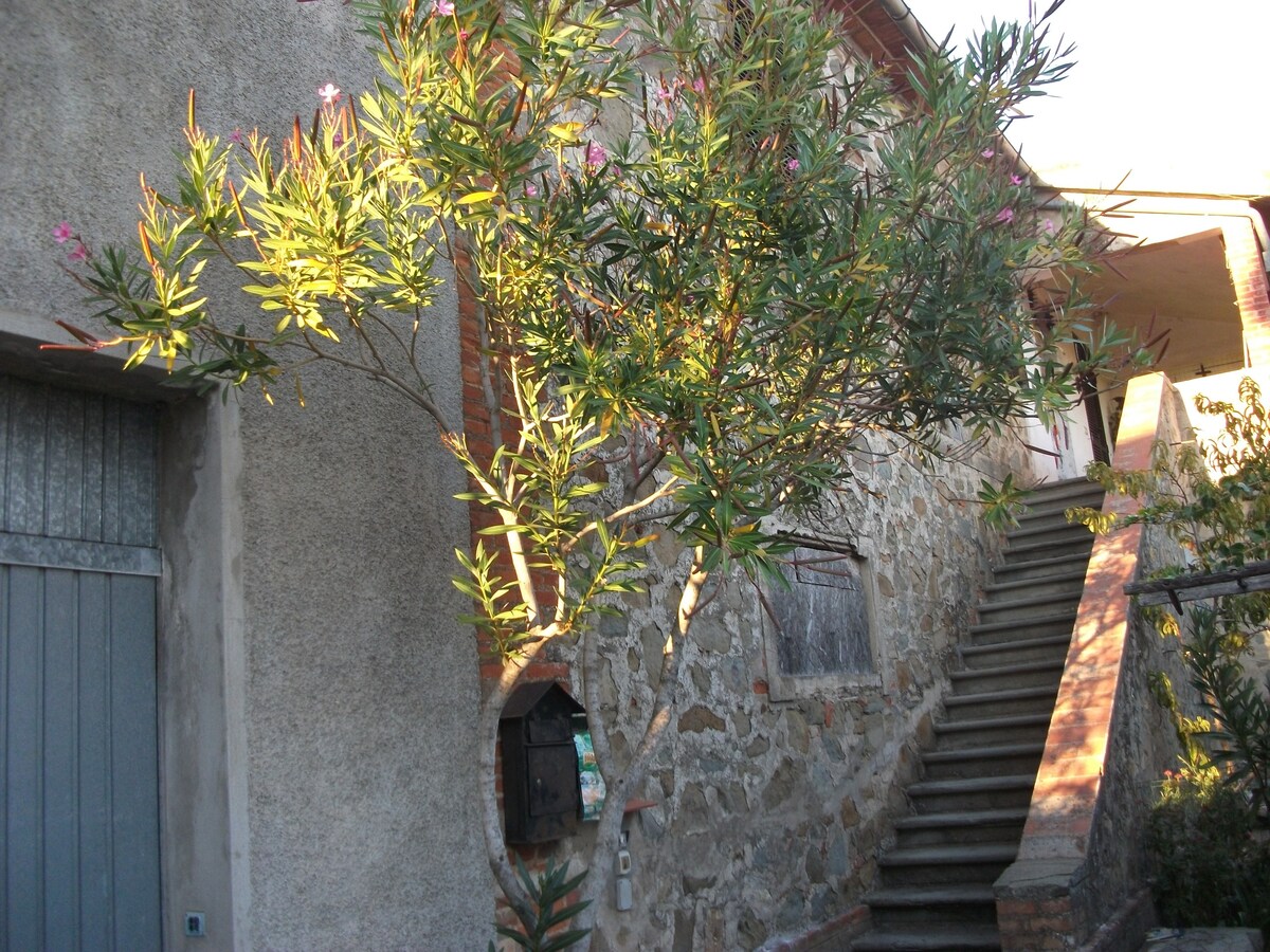 Casa di Piero at Scalabrelli Montiano