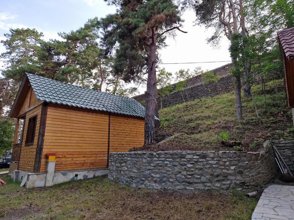 Cottage in the Forest