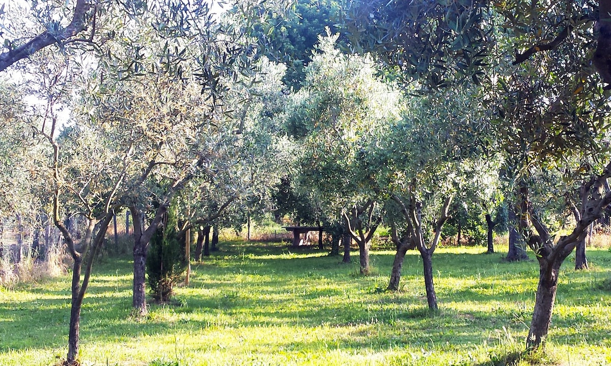 Vacanze nel verde della campagna Toscana.Casa Mola