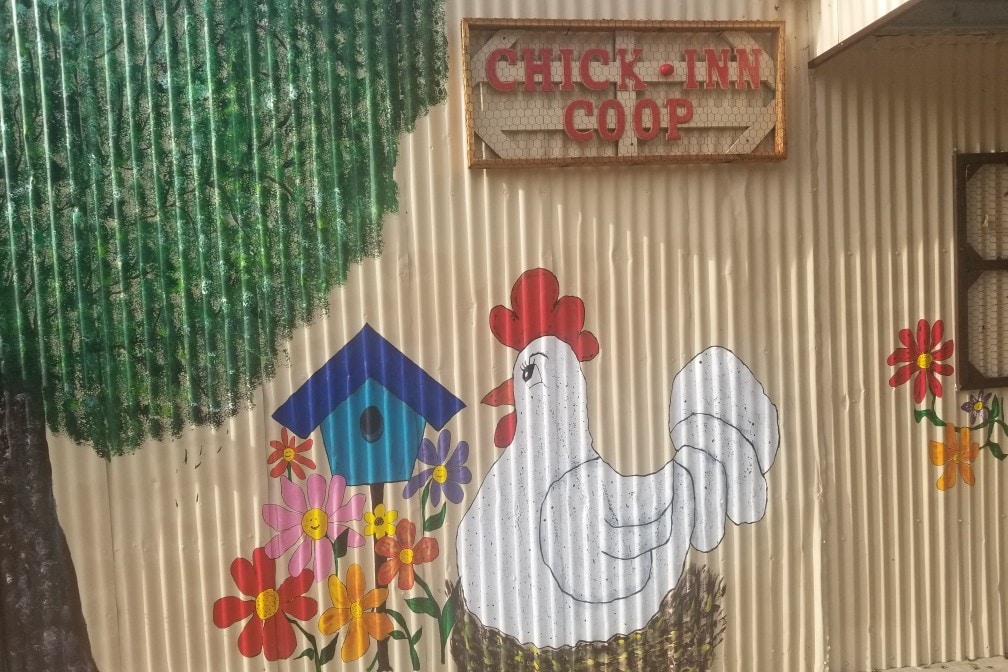 Byrd全新的Chick-Inn Coop