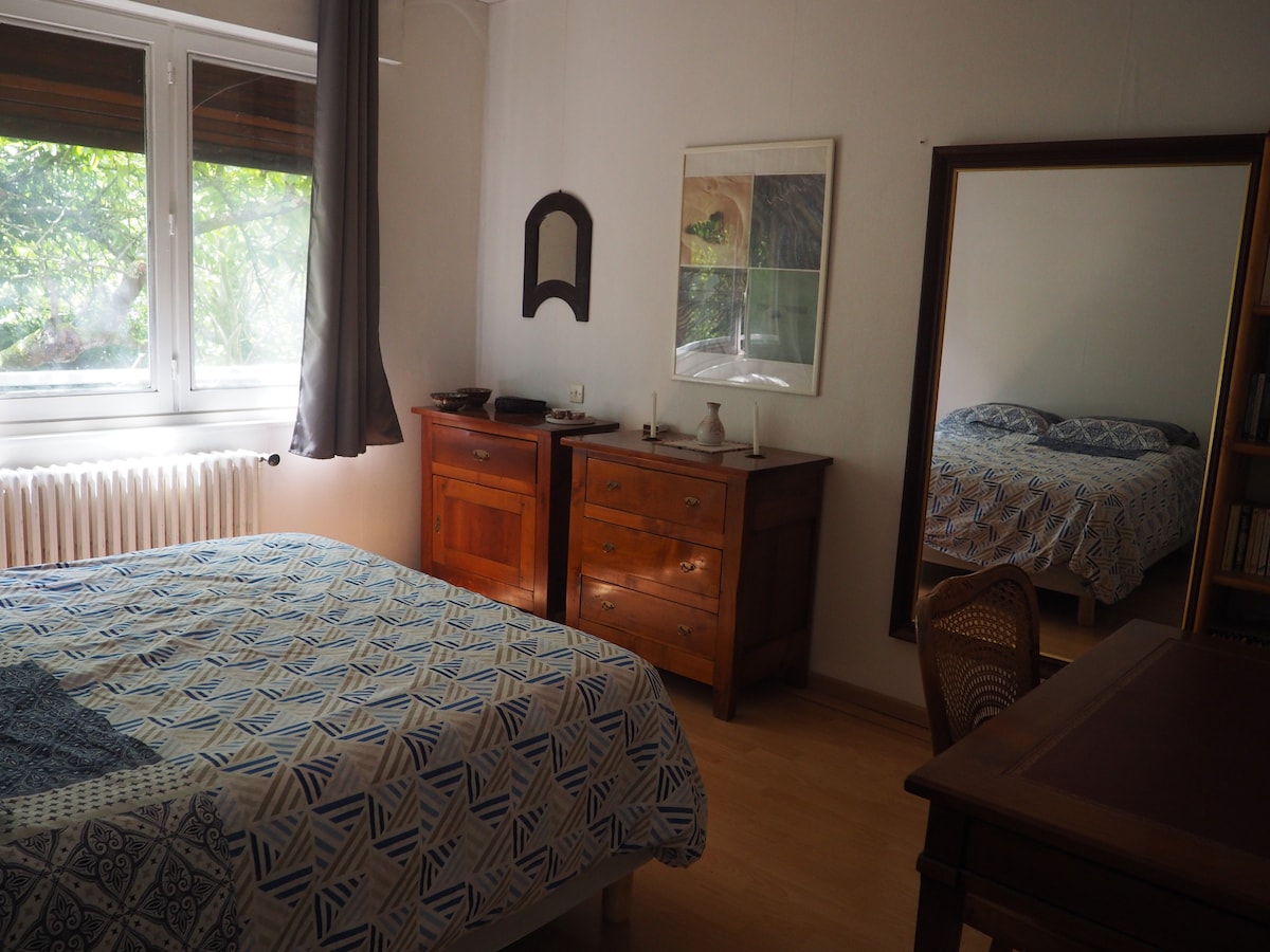 Rooms in house surrounded by trees