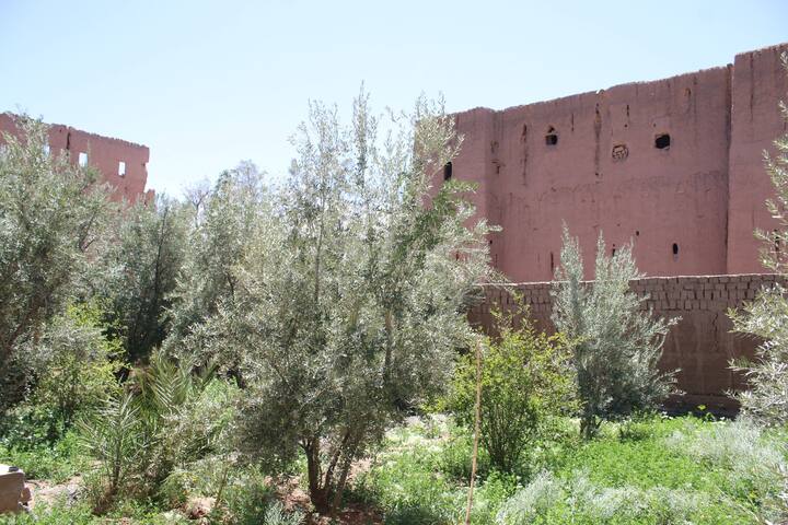 Ouled Cheikh Ali的民宿