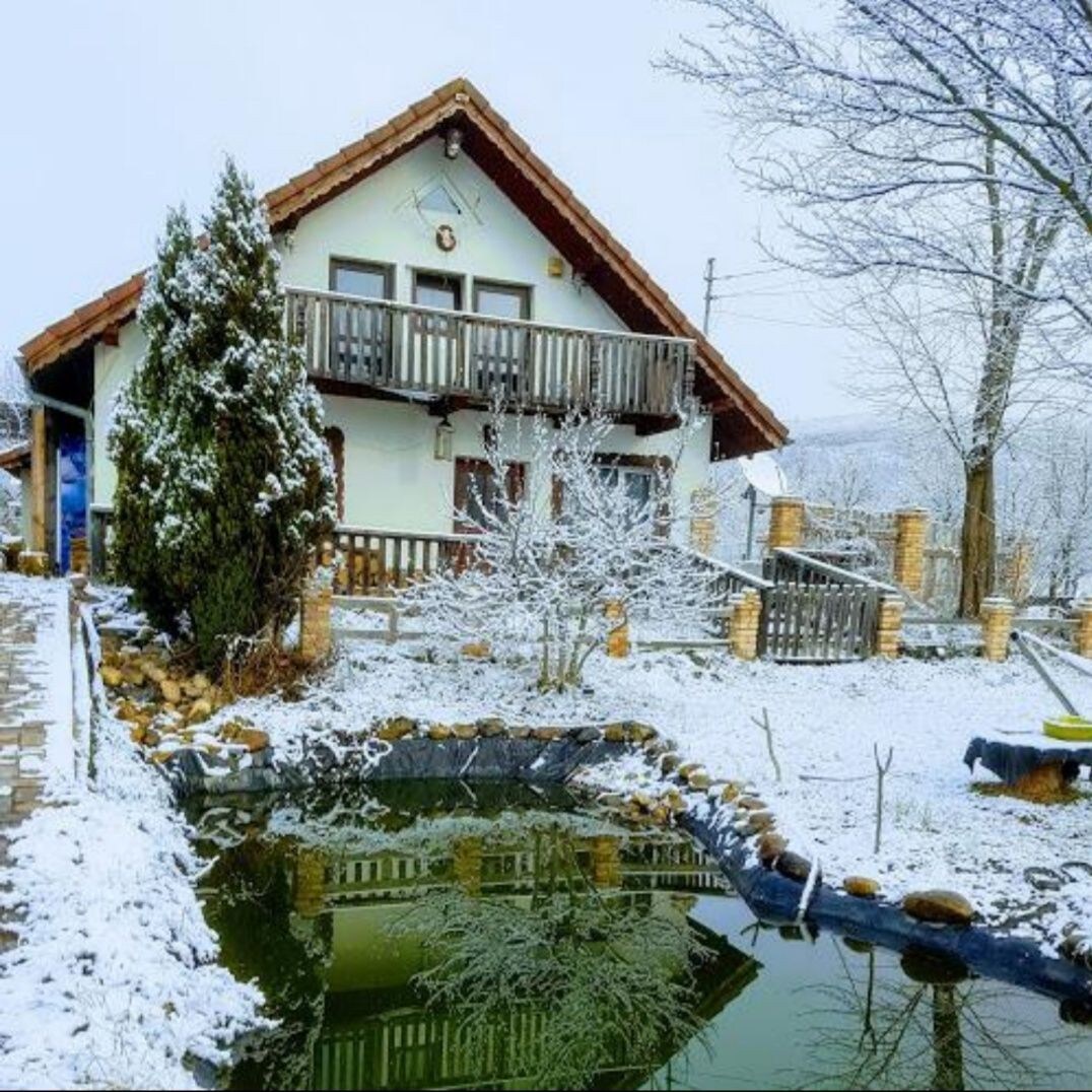 Cabana cu trei apartamente