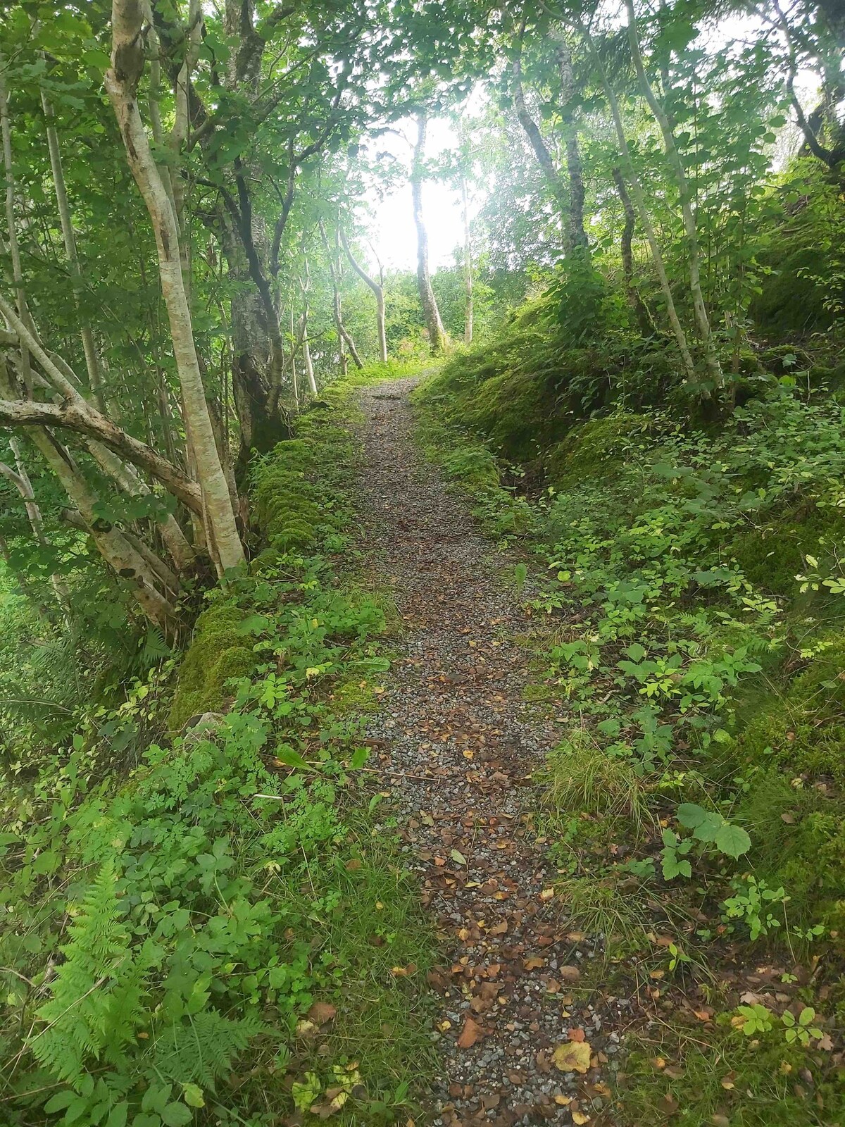 迷人的水景小屋