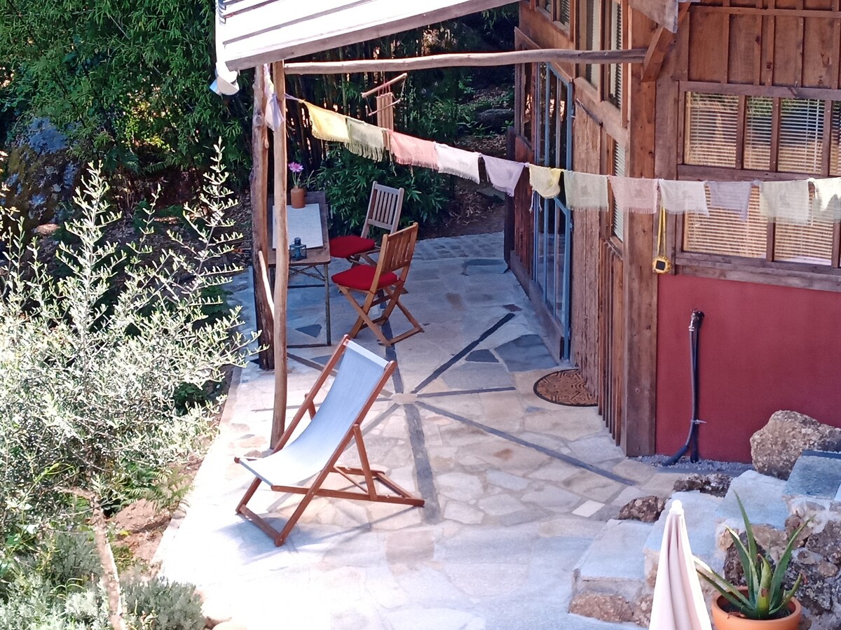 木制禅宗别墅（ Wooden Zen House ） ，坐落在柔和的竹子里