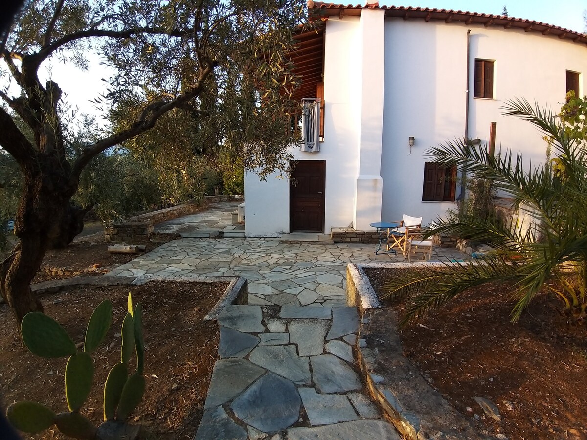 Marmaro Point - Reformed Warehouse next to the sea