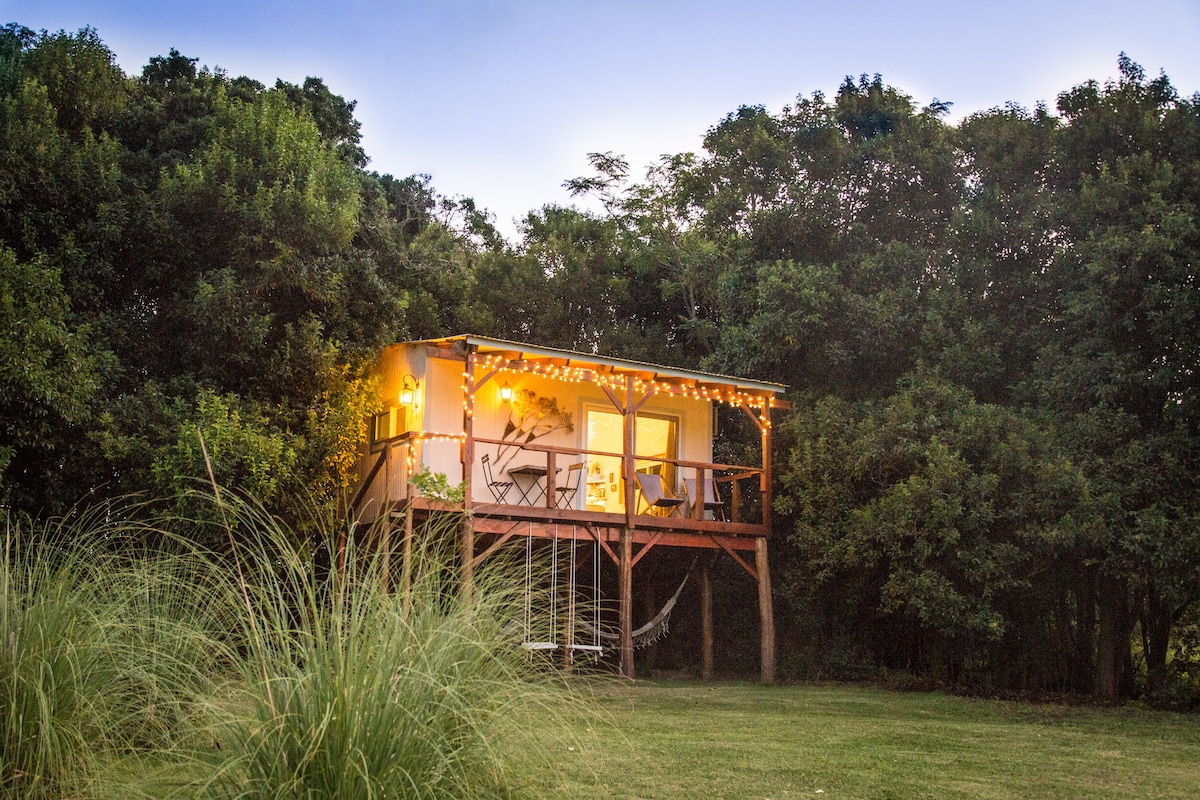 El Nido - Treehouse - The Nest