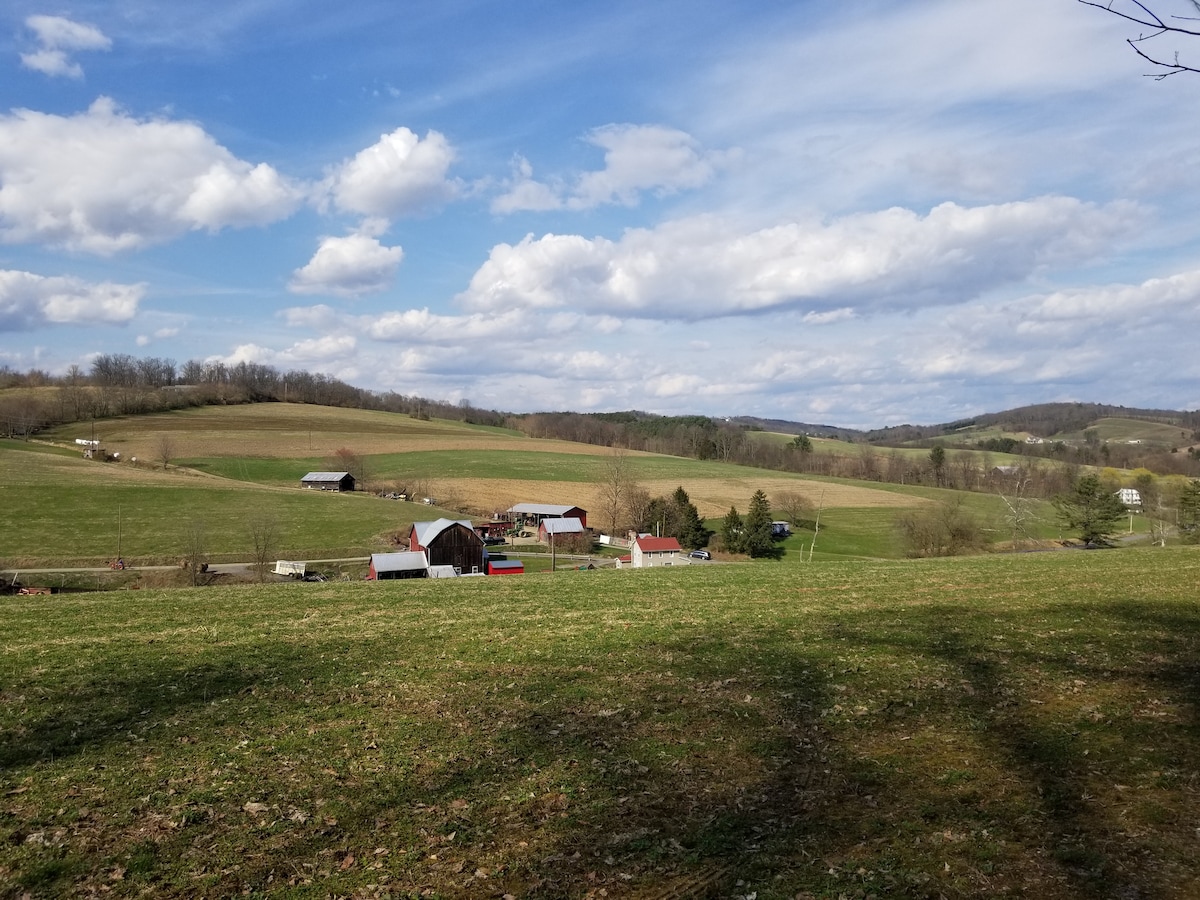 农场广场（ The Farm Place ）