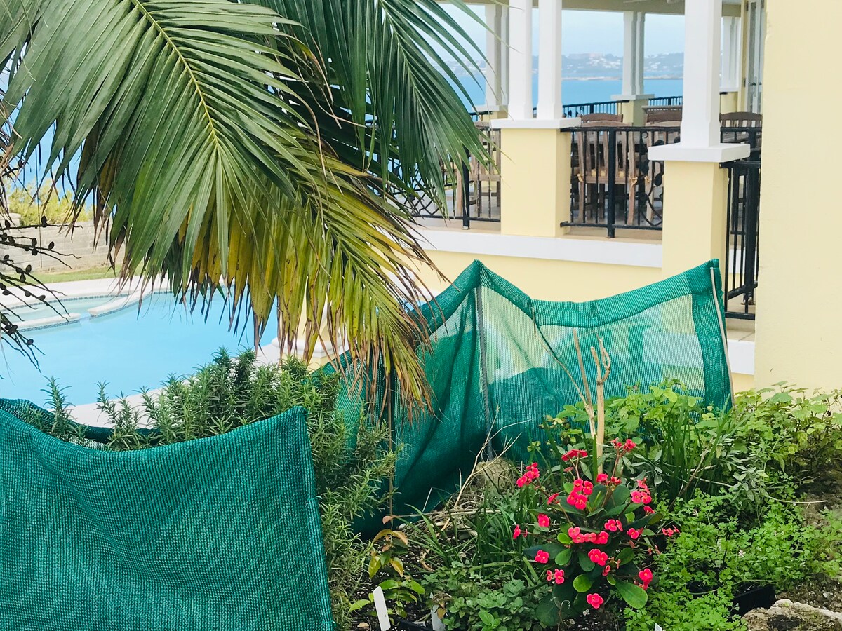 豪华百慕大别墅，可欣赏泳池和海景！