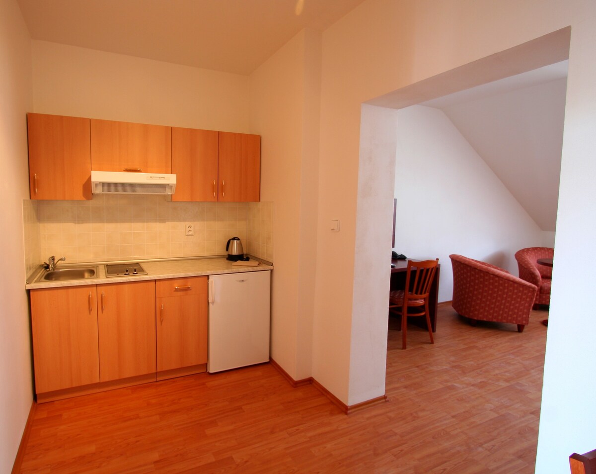 SUSA公寓式酒店-单人公寓。