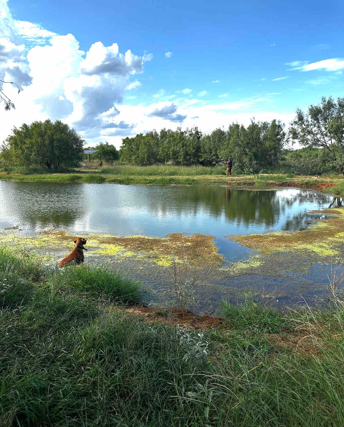 Luxury Camper on 60 Acre Ranch with a Fishing Pond