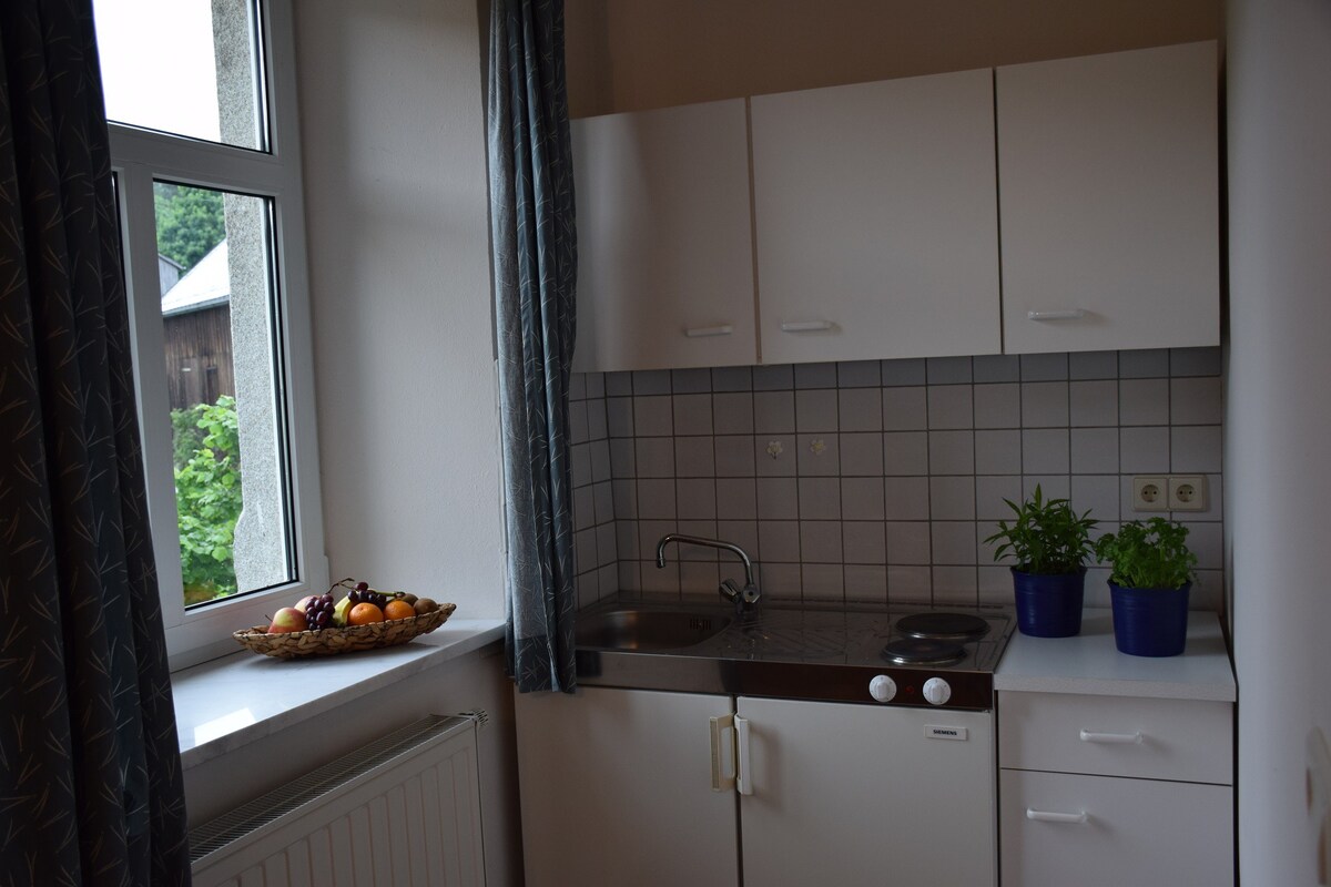 Ferienhof Schricker （ Marktleuthen ） ，玛格丽特公寓（ 25平方米） ，带小厨房