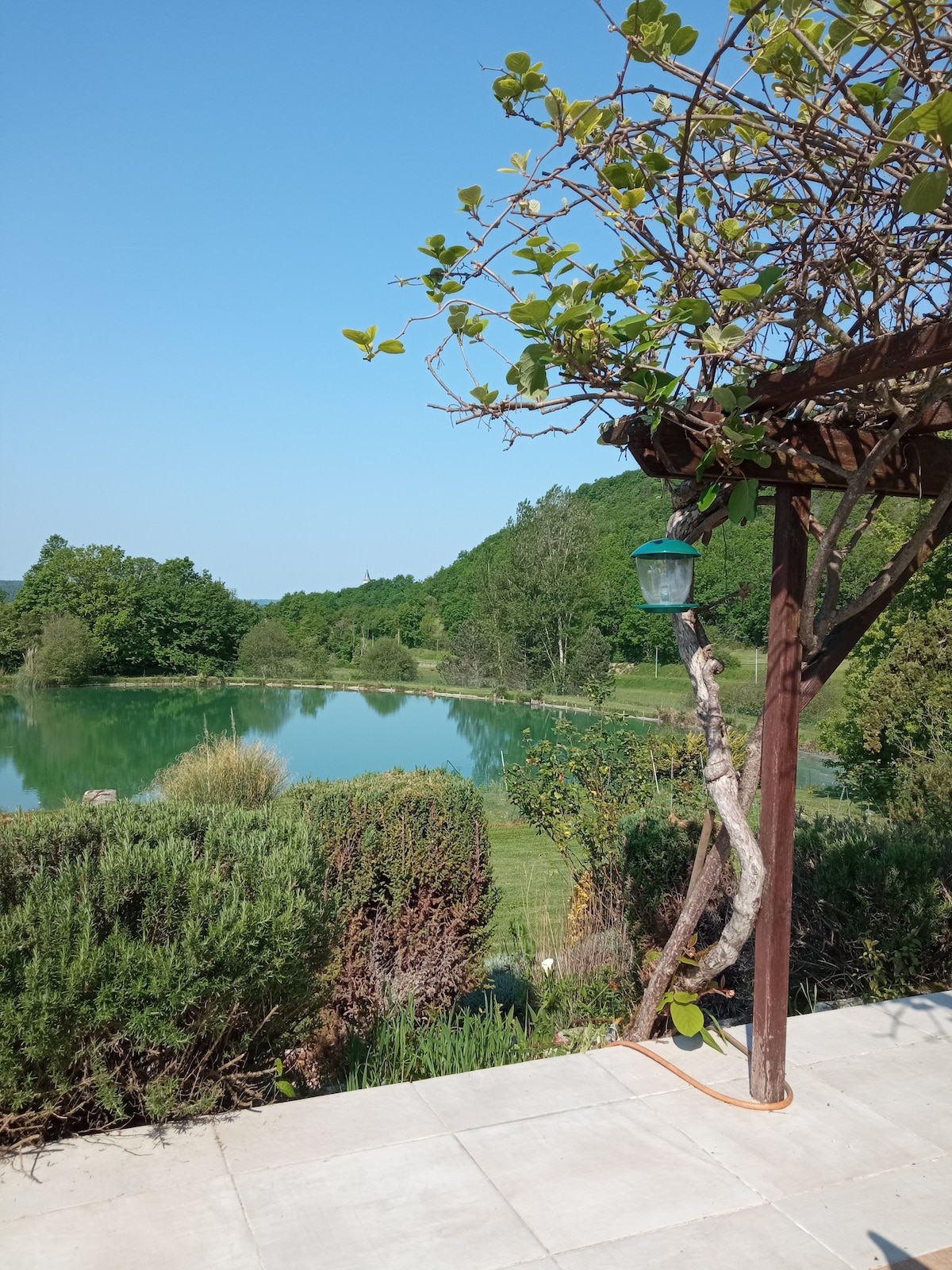 私人湖泊钓鱼区住宿加早餐（ # 1 ）