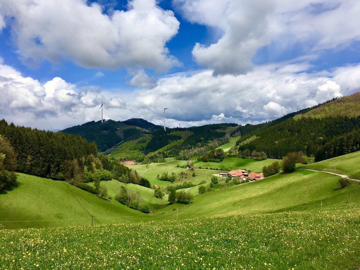 Jungbauernhof Schwarzwald
度假公寓"Hof“