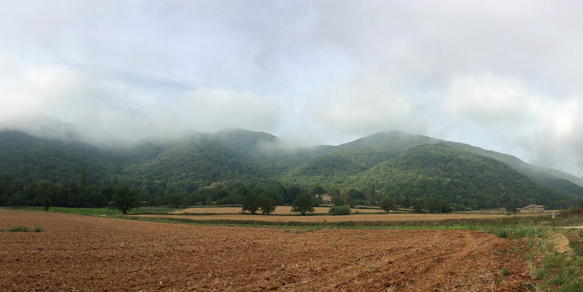 El Molí de La Vila by RCR Arquitectes