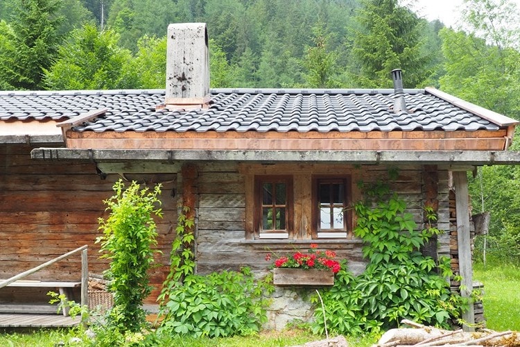后院古朴的小木屋