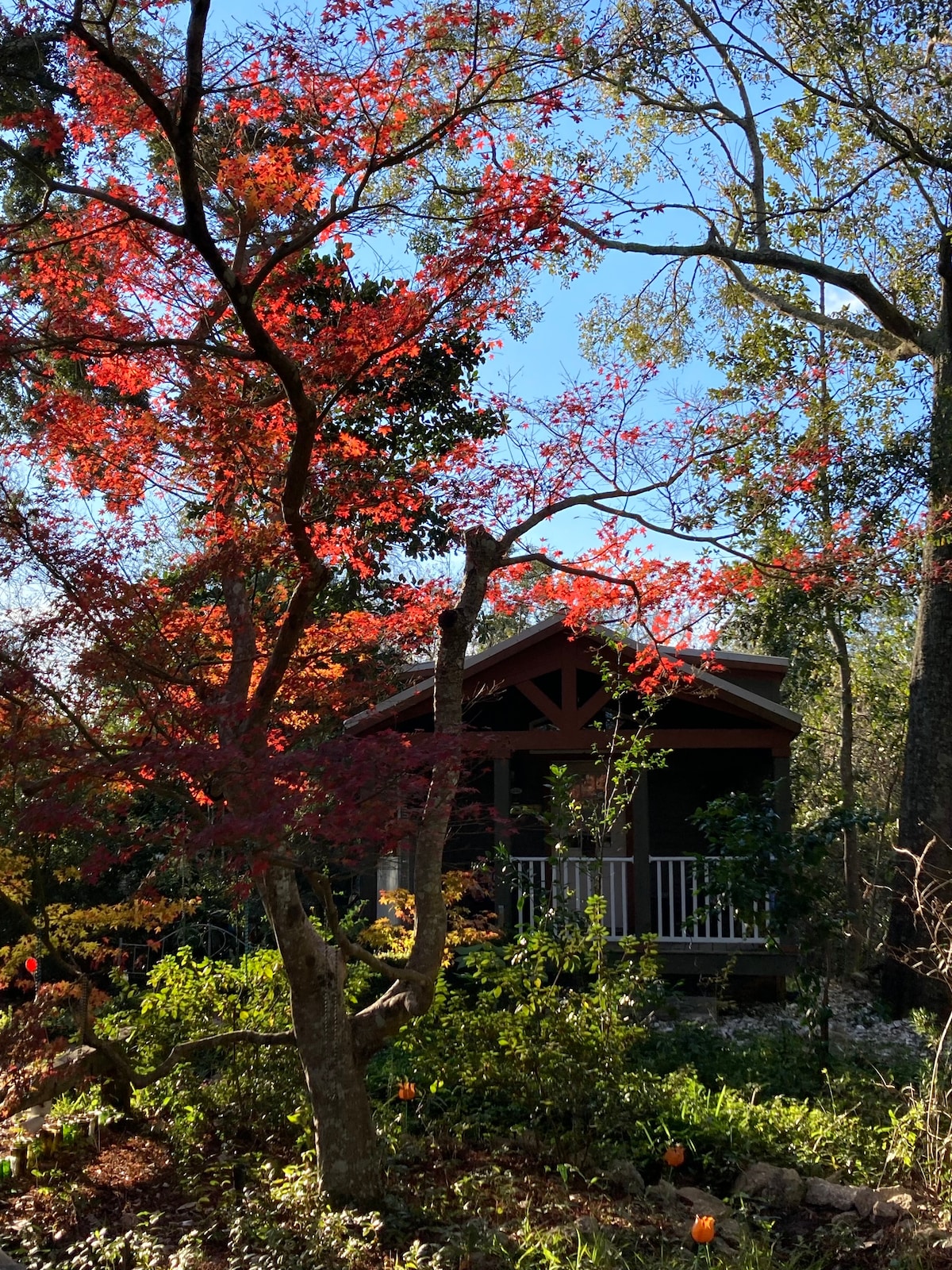 Twin Oaks Tiny House