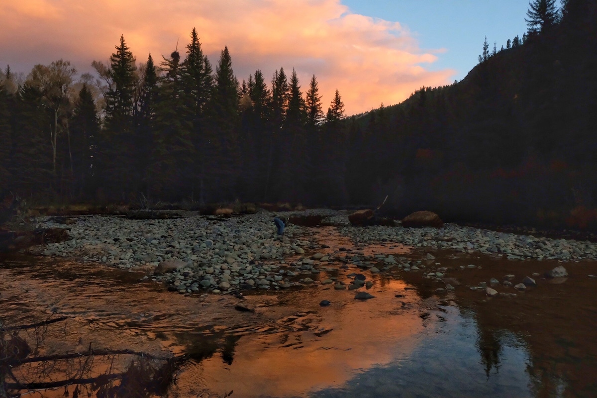 Cabin ~ River ~ Wilderness at the Old Science Camp