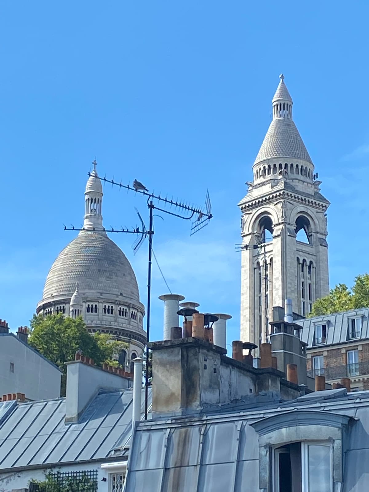 蒙马特圣心大教堂（ Sacrée Coeur Montmartre ）的魅力美景