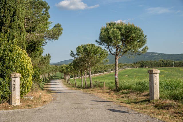 Agriturismo La Manonera "La Casa Rosa" 2人