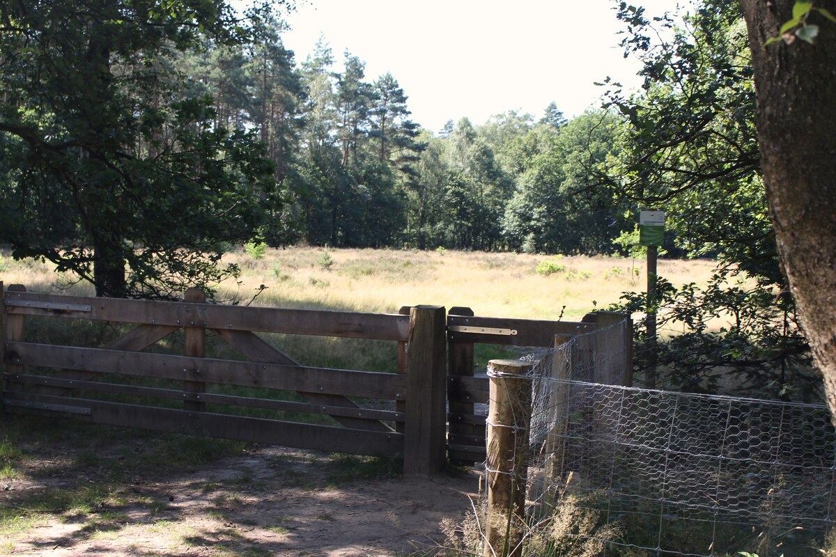 Luxe Safaritent met badkamer