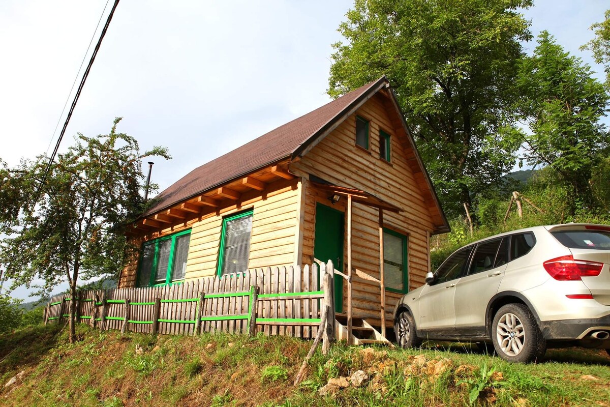 Greenish Chalet, Apuseni Mountains, Transylvania