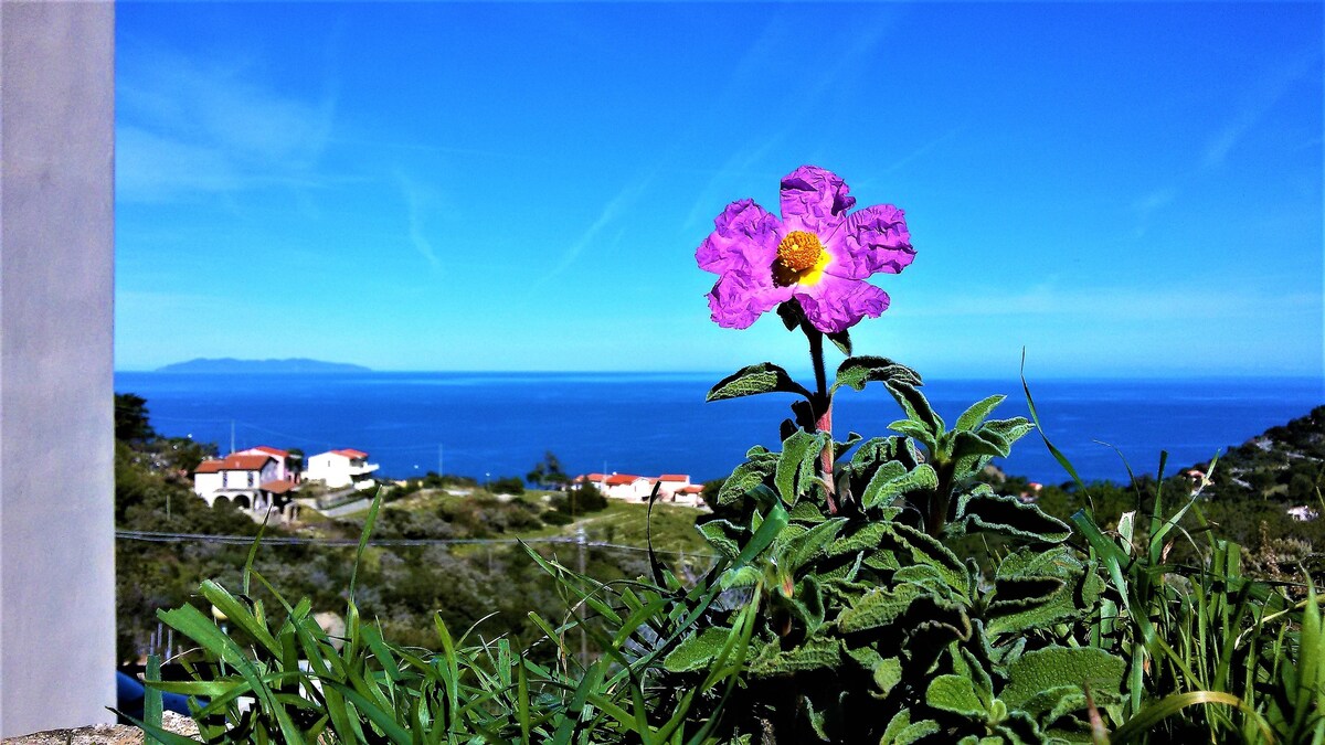 Elba Island Nature il Colle公寓x2