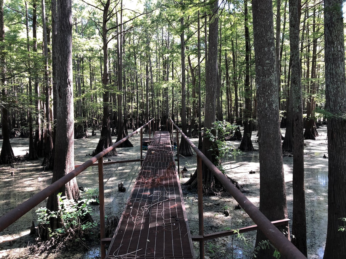 Caddo Lake Kayak Cabin