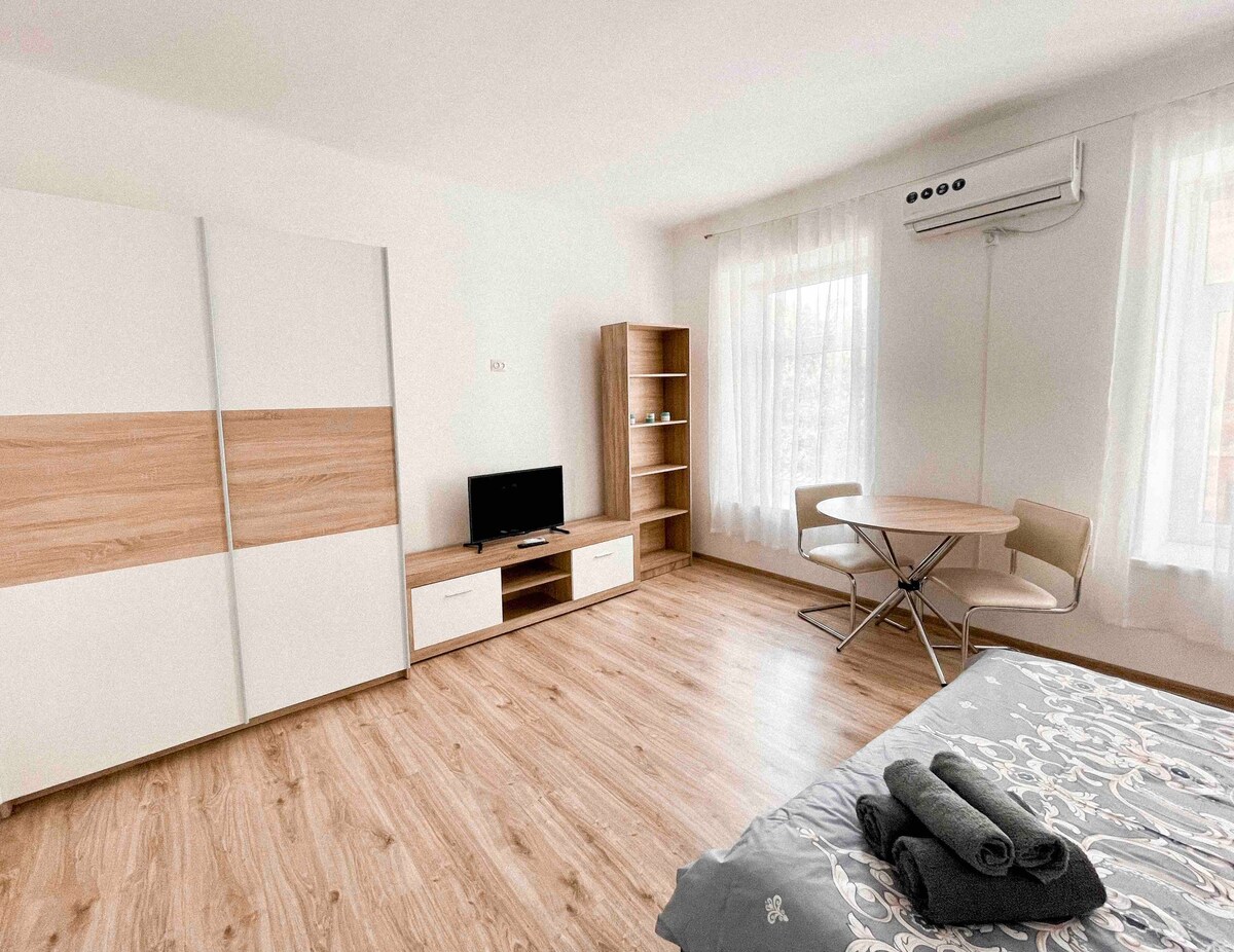 位于利沃夫最近的市中心可爱的单卧室公寓