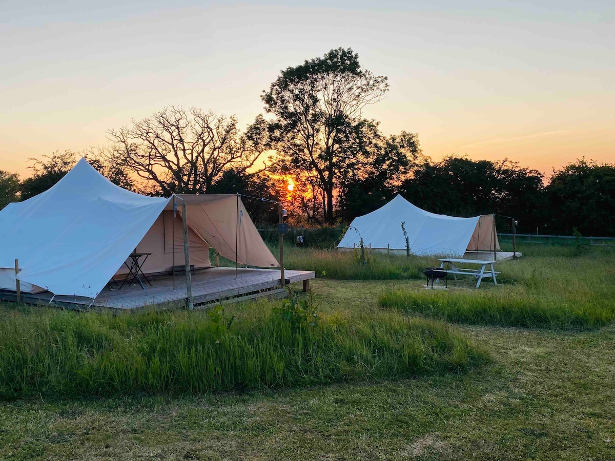 Buttercup Touareg Bell Tent