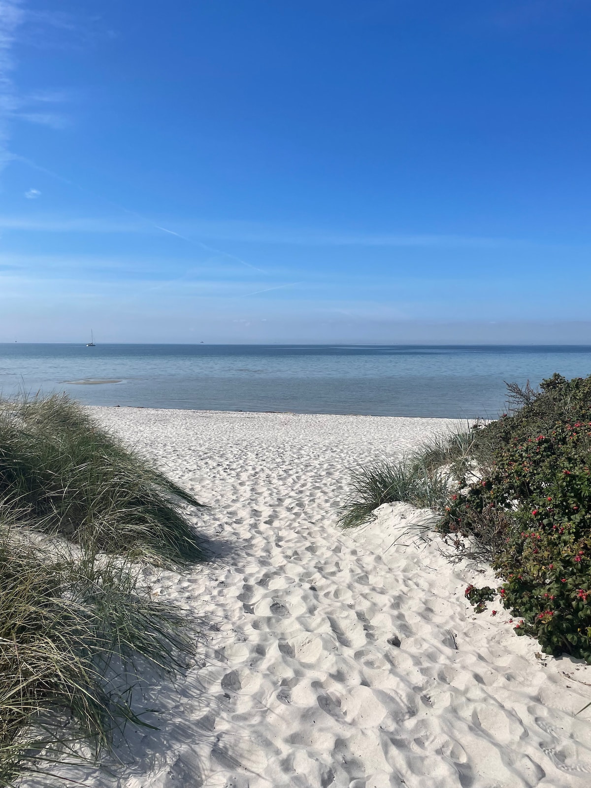 房源距离洛玛海滩（ Lomma Beach ）仅500米