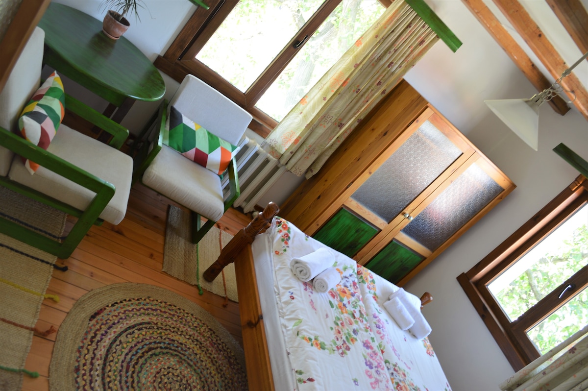 三人间* Sema Guest House * Bansko