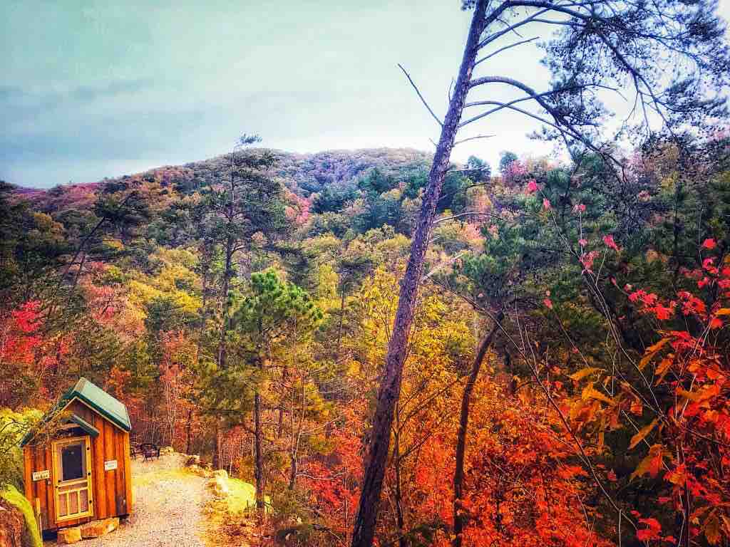 Wilderness Tiny Cabin