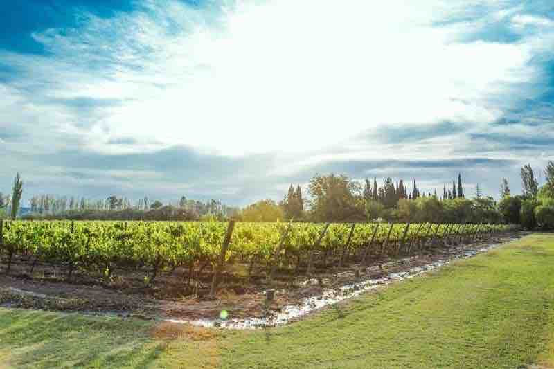 Finca Las Nubes: Casaquinta, Viñedos, y Piscina!