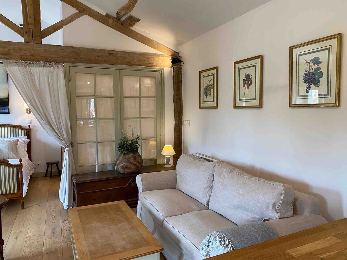 Loft Charmant au cœur du Marais Poitevin