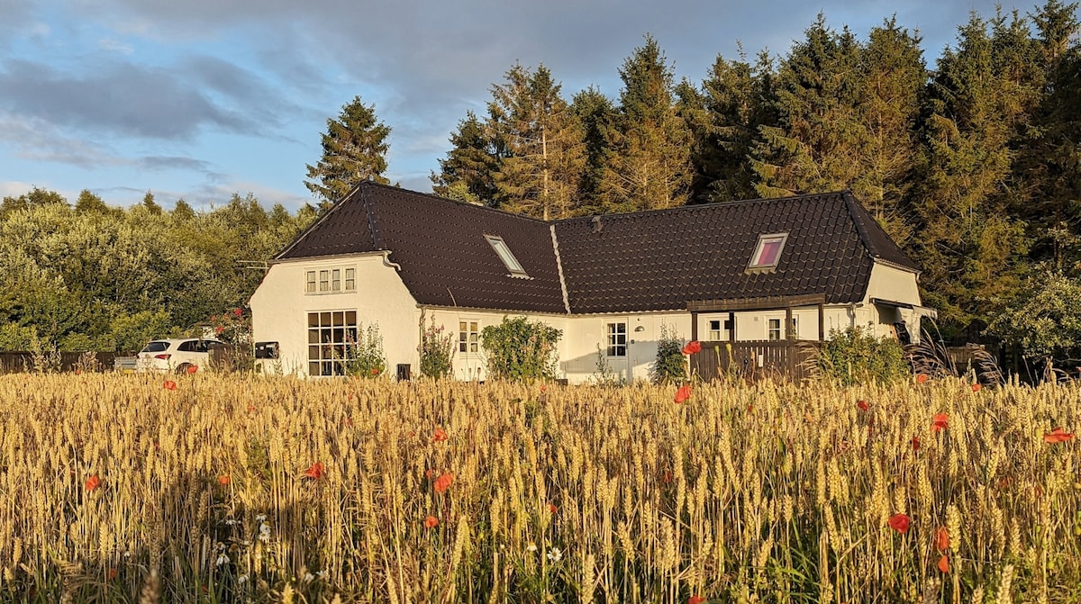 lille hyggelig lejlighed ved skov og strand