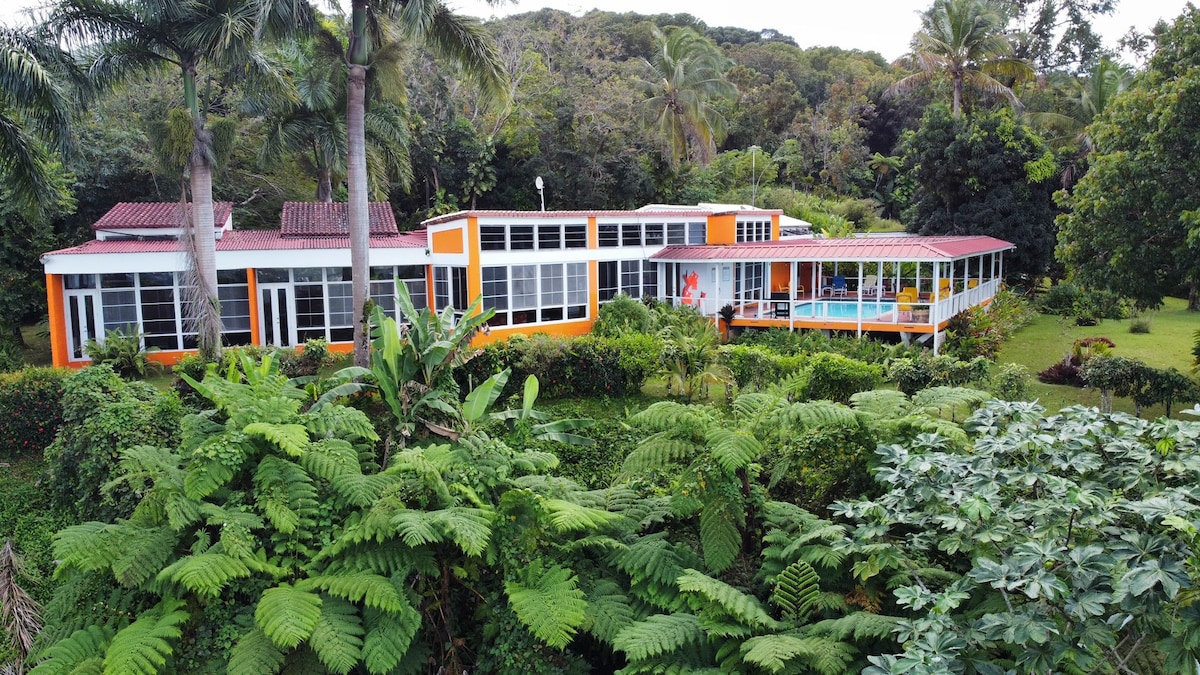 别墅美丽热带森林EL YUNQUE