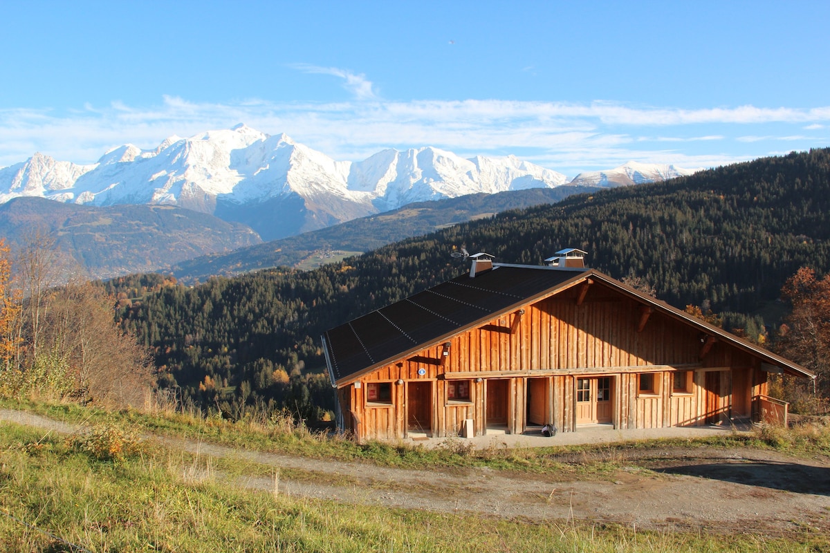 面向勃朗峰的Dandry Ferme pied des pistes