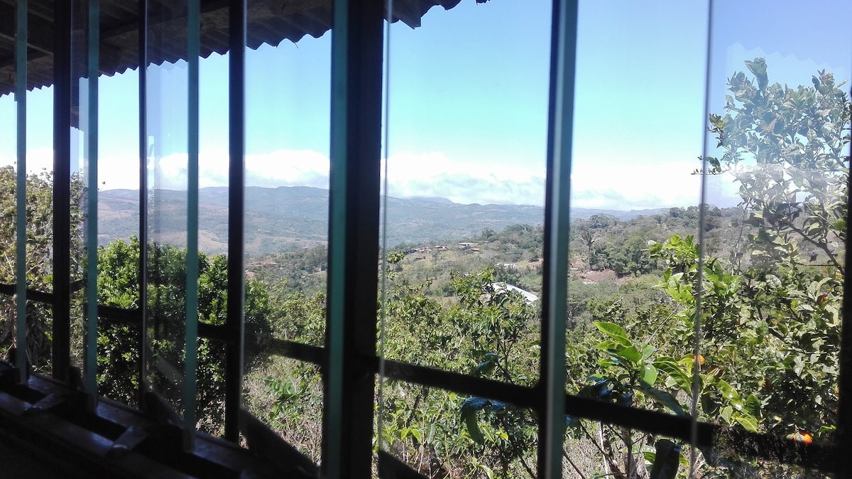 Rain forest, rivers, coffee farms, 360 ocean views