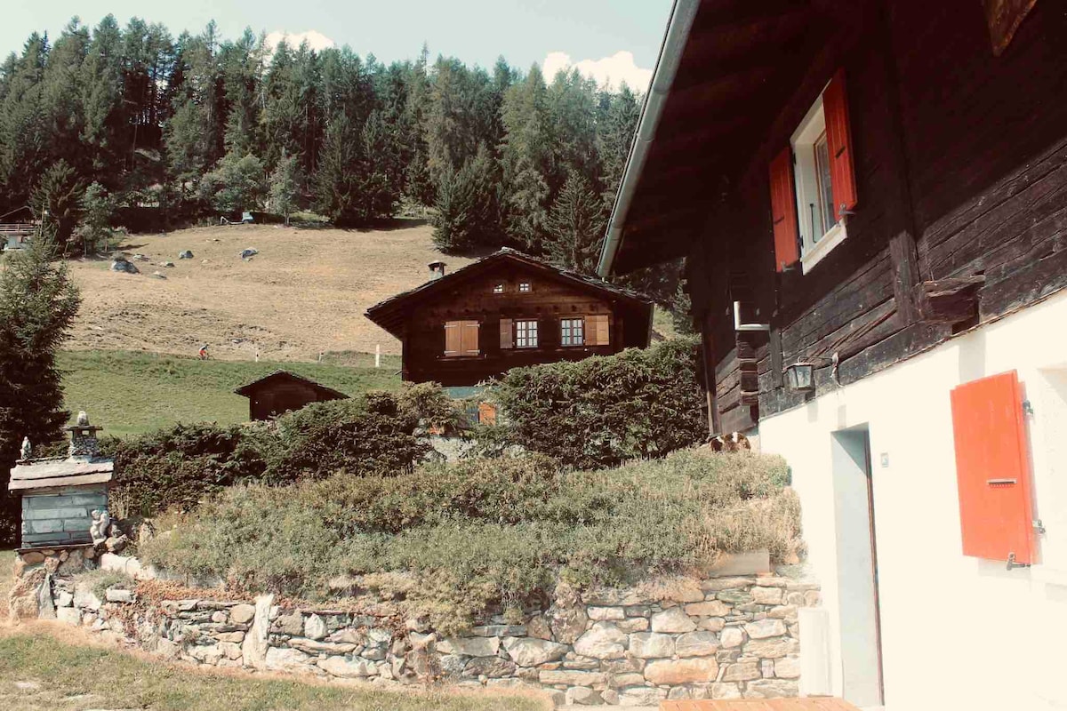 「Le Bambi」， Verbier附近的度假木屋， Val de Bagnes