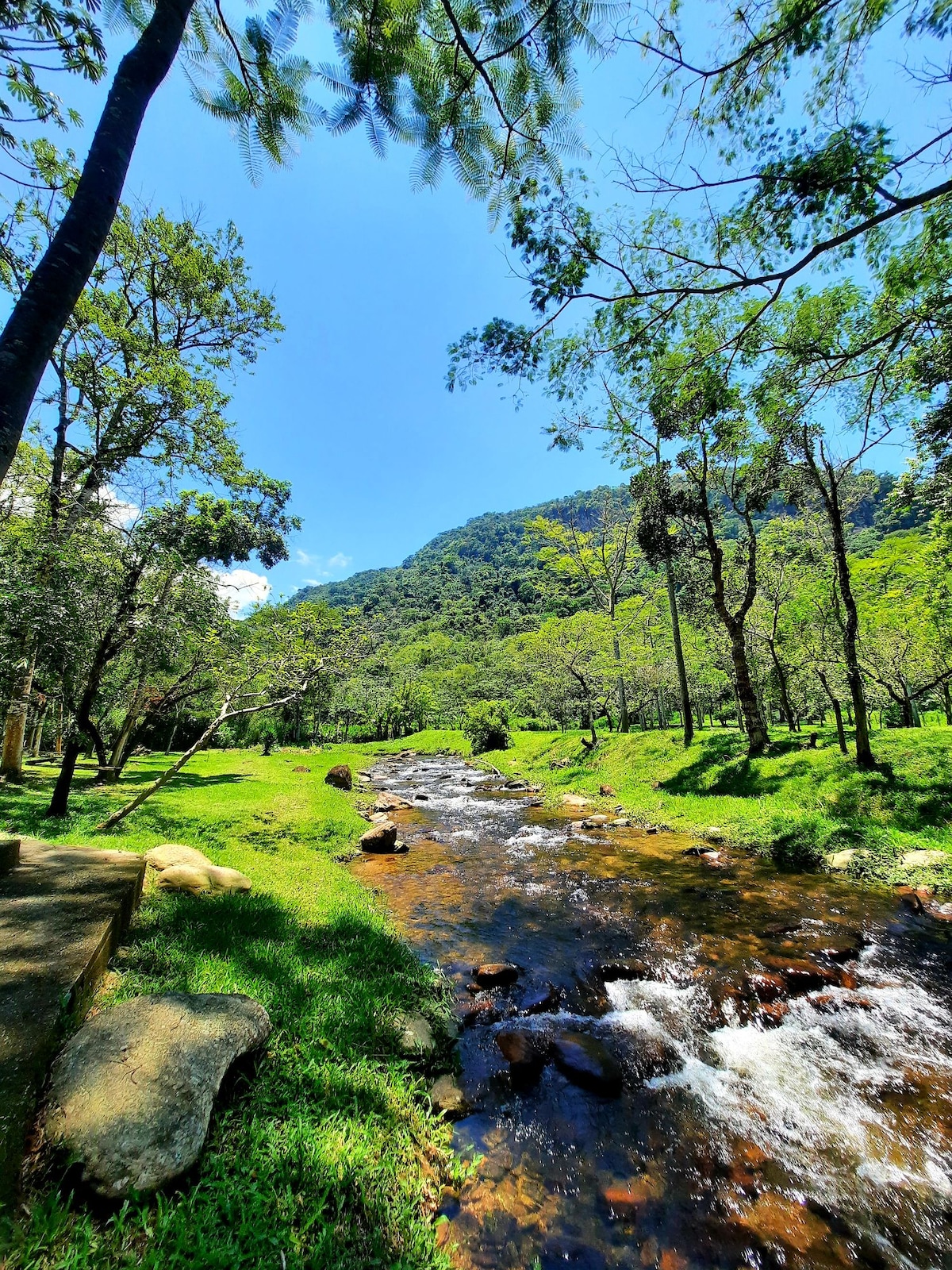 Casa De Campo com Rio de Águas Claras Privativo