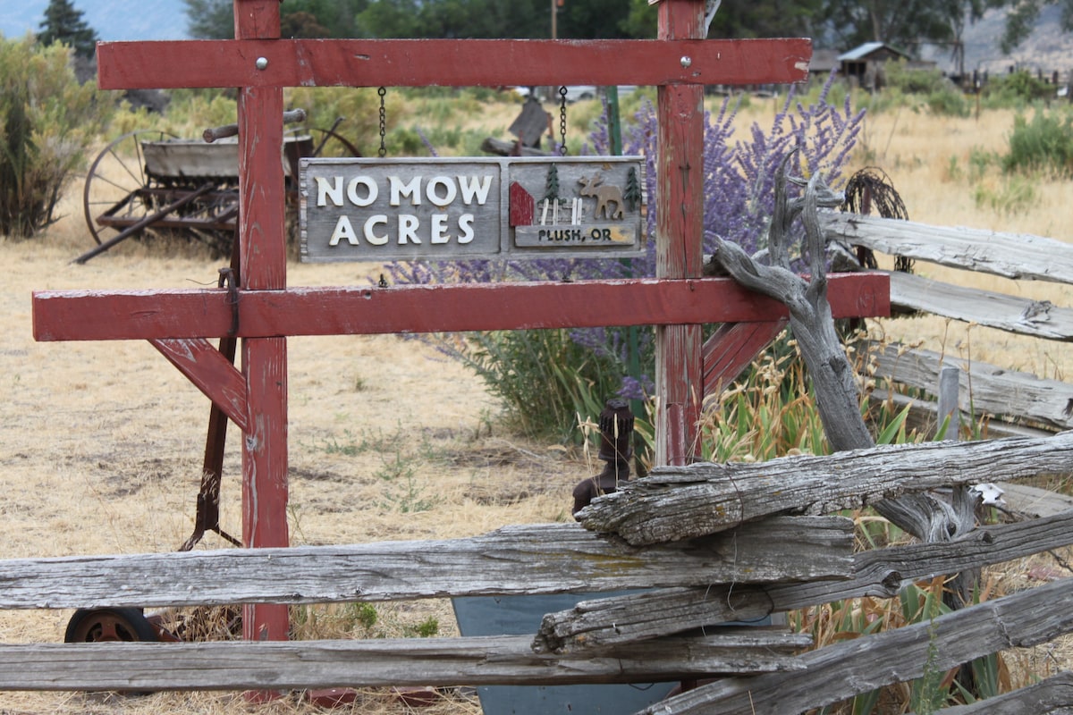 No Mow Acres